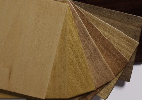 Stain Colors Light on Top